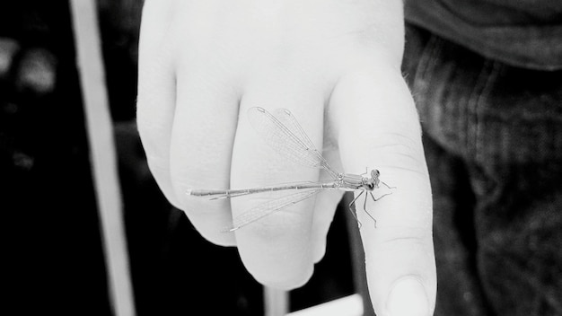 detaliu cusătură manuală